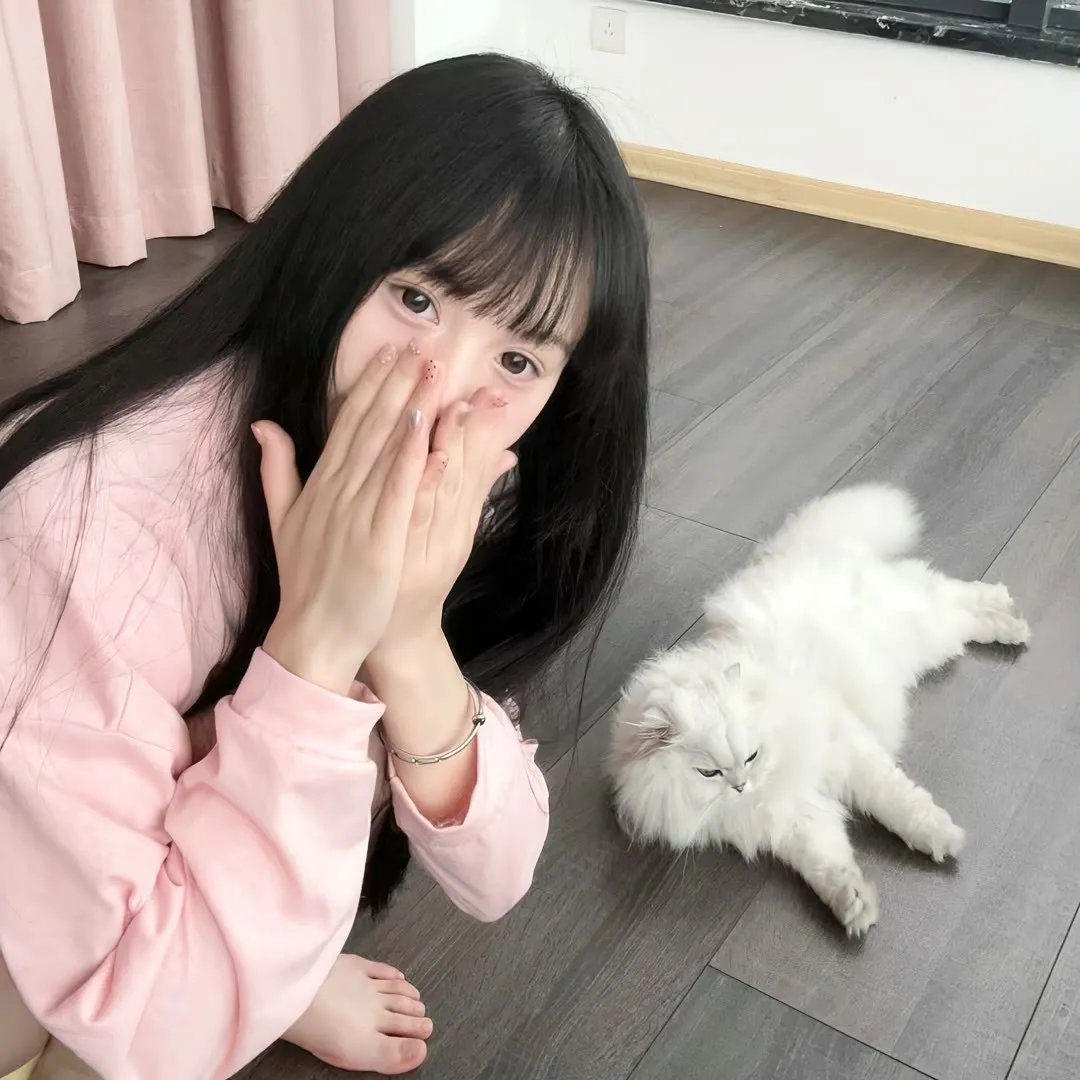 敌对同谋